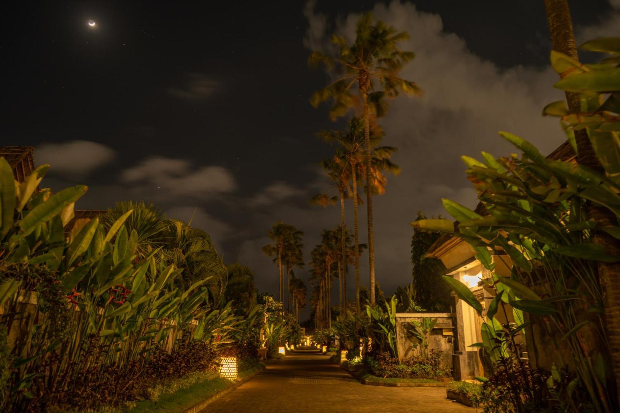 Estate & - By Astadala * Seminyak
